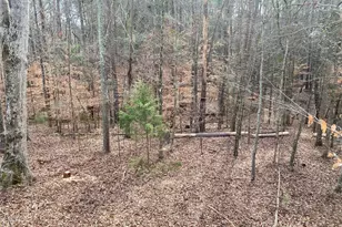 1135 Beaver Dam Rd, Washington, GA 30673 - Photo 41