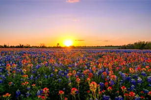 5701 Bovista Rd, Navasota, TX 77868 - Photo 1