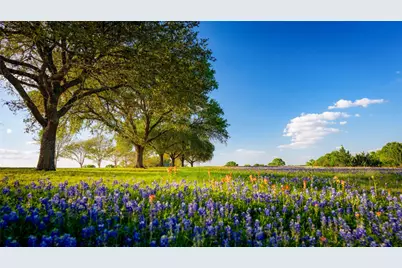 5701 Bovista Road, Navasota, TX 77868 - Photo 9