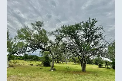 74 Acres County Road 312, Hallettsville, TX 77964 - Photo 19