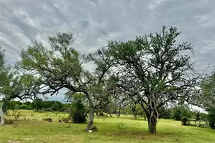 74 Acres County Road 312, Hallettsville, TX 77964 - Photo 19