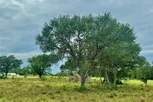 74 Acres County Road 312, Hallettsville, TX 77964 - Photo 27