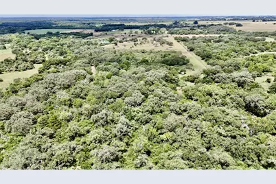 74 Acres County Road 312, Hallettsville, TX 77964 - Photo 5