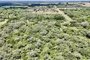 74 Acres County Road 312, Hallettsville, TX 77964 - Photo 5