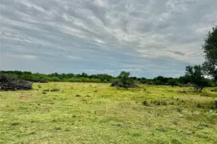 74 Acres County Road 312, Hallettsville, TX 77964 - Photo 17