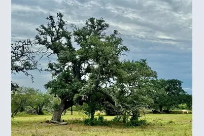 74 Acres County Road 312, Hallettsville, TX 77964 - Photo 9