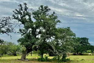 74 Acres County Road 312, Hallettsville, TX 77964 - Photo 9