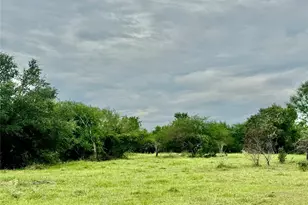 74 Acres County Road 312, Hallettsville, TX 77964 - Photo 11