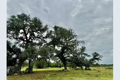 74 Acres County Road 312, Hallettsville, TX 77964 - Photo 7
