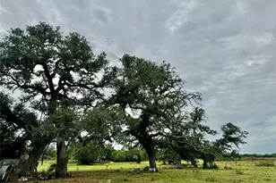 74 Acres County Road 312, Hallettsville, TX 77964 - Photo 7