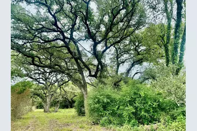 74 Acres County Road 312, Hallettsville, TX 77964 - Photo 13