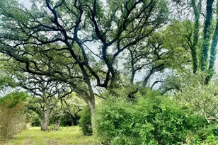 74 Acres County Road 312, Hallettsville, TX 77964 - Photo 13