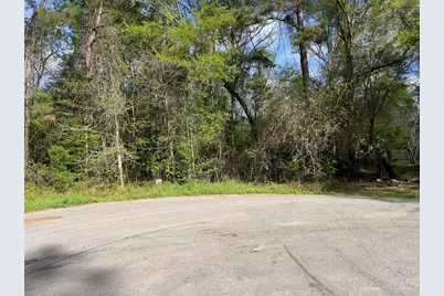 25685 Northampton, New Caney, TX 77357 - Photo 5