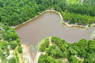 95 Sunrise Loop, Huntsville, TX 77320 - Photo 7