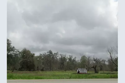 2481 Fm 521 Road, Brazoria, TX 77422 - Photo 3