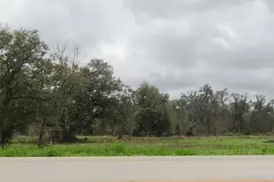 2481 Fm 521 Rd, Brazoria, TX 77422 - Photo 1