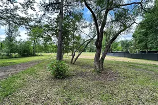 12462 Main, Chester, TX 75936 - Photo 5