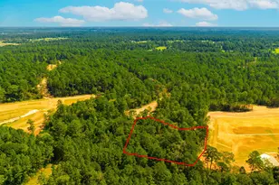 26425 Old Head Trail, Montgomery, TX 77316 - Photo 3