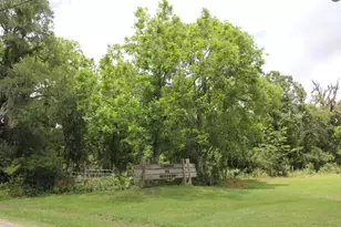 Tbd Cr-825E, West Columbia, TX 77486 - Photo 1