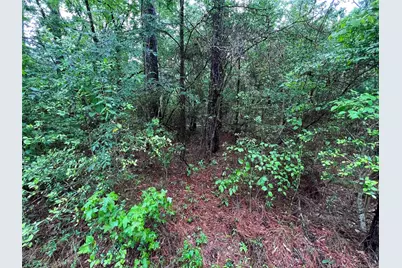 002 Parkside, Brookeland, TX 75931 - Photo 1