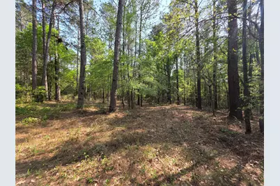 Tbdparcel # 130757 Hwy 190, Point Blank, TX 77364 - Photo 9