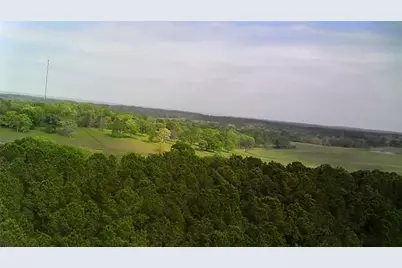 Tbdparcel # 130757 Hwy 190, Point Blank, TX 77364 - Photo 5