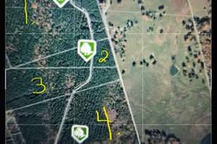 Tbdparcel # 130757 Hwy 190, Point Blank, TX 77364 - Photo 1