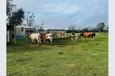 13340 State Highway 172, La Ward, TX 77970 - Photo 9