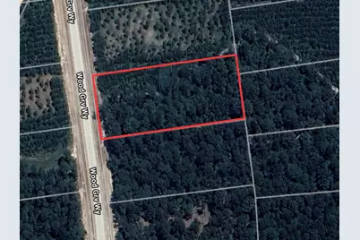 15886 Wood Grove Way, Willis, TX 77378 - Photo 9