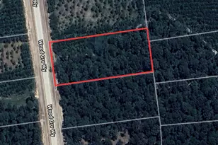 15886 Wood Grv Wy, Willis, TX 77378 - Photo 9