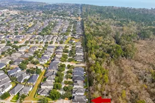 12902 Pecan Shores Dr, Houston, TX 77044 - Photo 41