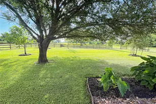 807 Mill Rd, Angleton, TX 77515 - Photo 41