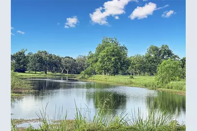 807 Mill Road, Angleton, TX 77515 - Photo 5