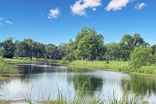 807 Mill Rd, Angleton, TX 77515 - Photo 5