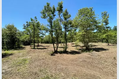 Lot 6 E Fm 942, Livingston, TX 77351 - Photo 31