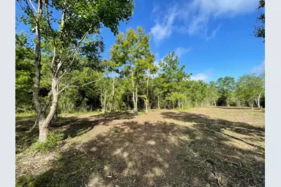 Lot 6 E Fm 942, Livingston, TX 77351 - Photo 29