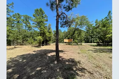 Lot 6 E Fm 942, Livingston, TX 77351 - Photo 21