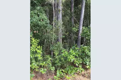 Tbd Fm 1127 Road, Shepherd, TX 77371 - Photo 5