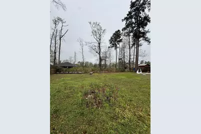 23907 Mydas Fly Lane, New Caney, TX 77357 - Photo 5