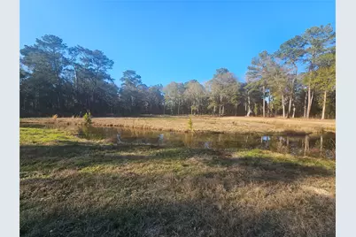 1325 Fm 223 Road, Shepherd, TX 77371 - Photo 5