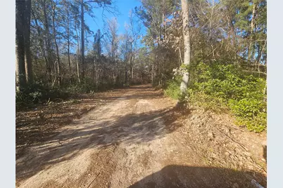 1325 Fm 223 Road, Shepherd, TX 77371 - Photo 11