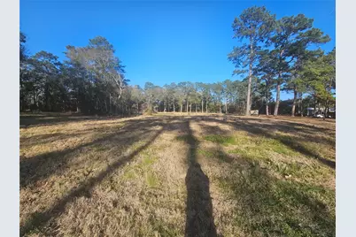 1325 Fm 223 Road, Shepherd, TX 77371 - Photo 15