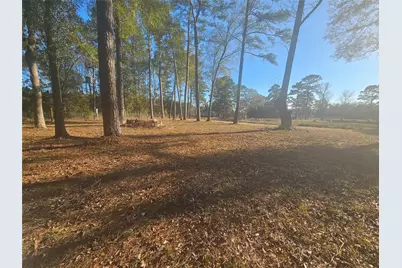 1325 Fm 223 Road, Shepherd, TX 77371 - Photo 17