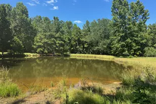 390 Pr 5200, Kennard, TX 75847 - Photo 1