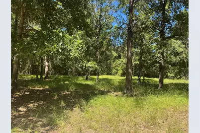 390 Pr 5200, Kennard, TX 75847 - Photo 3