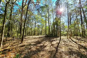 28028 Crossway Oaks, Magnolia, TX 77355 - Photo 11