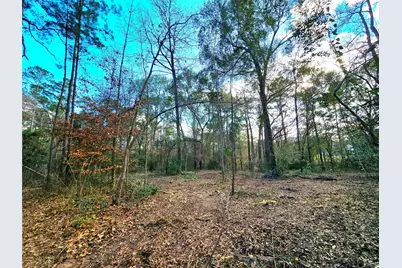 28028 Crossway Oaks, Magnolia, TX 77355 - Photo 7