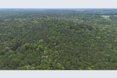 0 Rose Hill Road, Coldspring, TX 77331 - Photo 7
