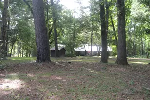 4759 Co Rd 1655, Grapeland, TX 75844 - Photo 3