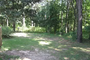 4759 Co Rd 1655, Grapeland, TX 75844 - Photo 7